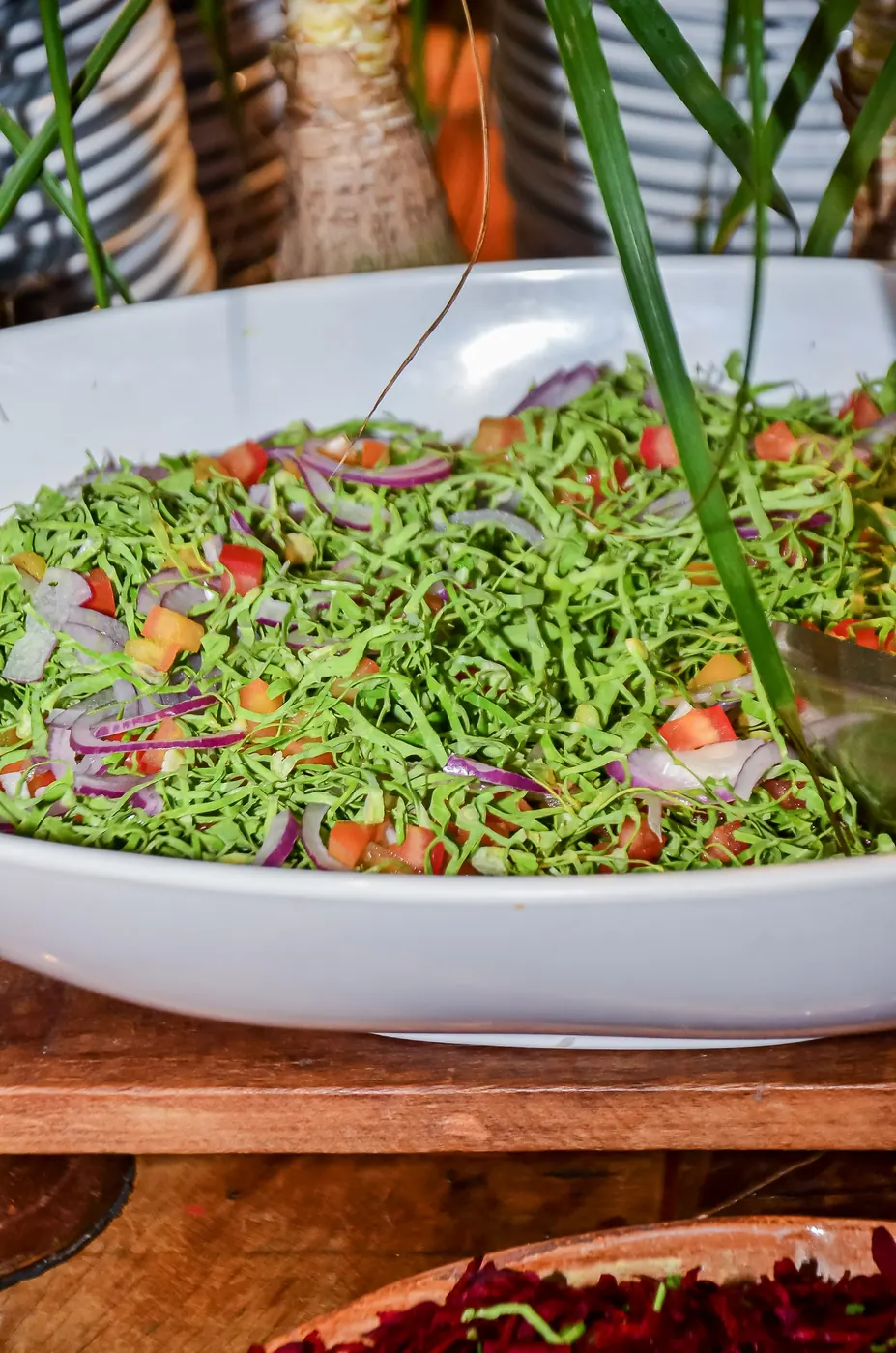 Diversos tipos de saladas frescas